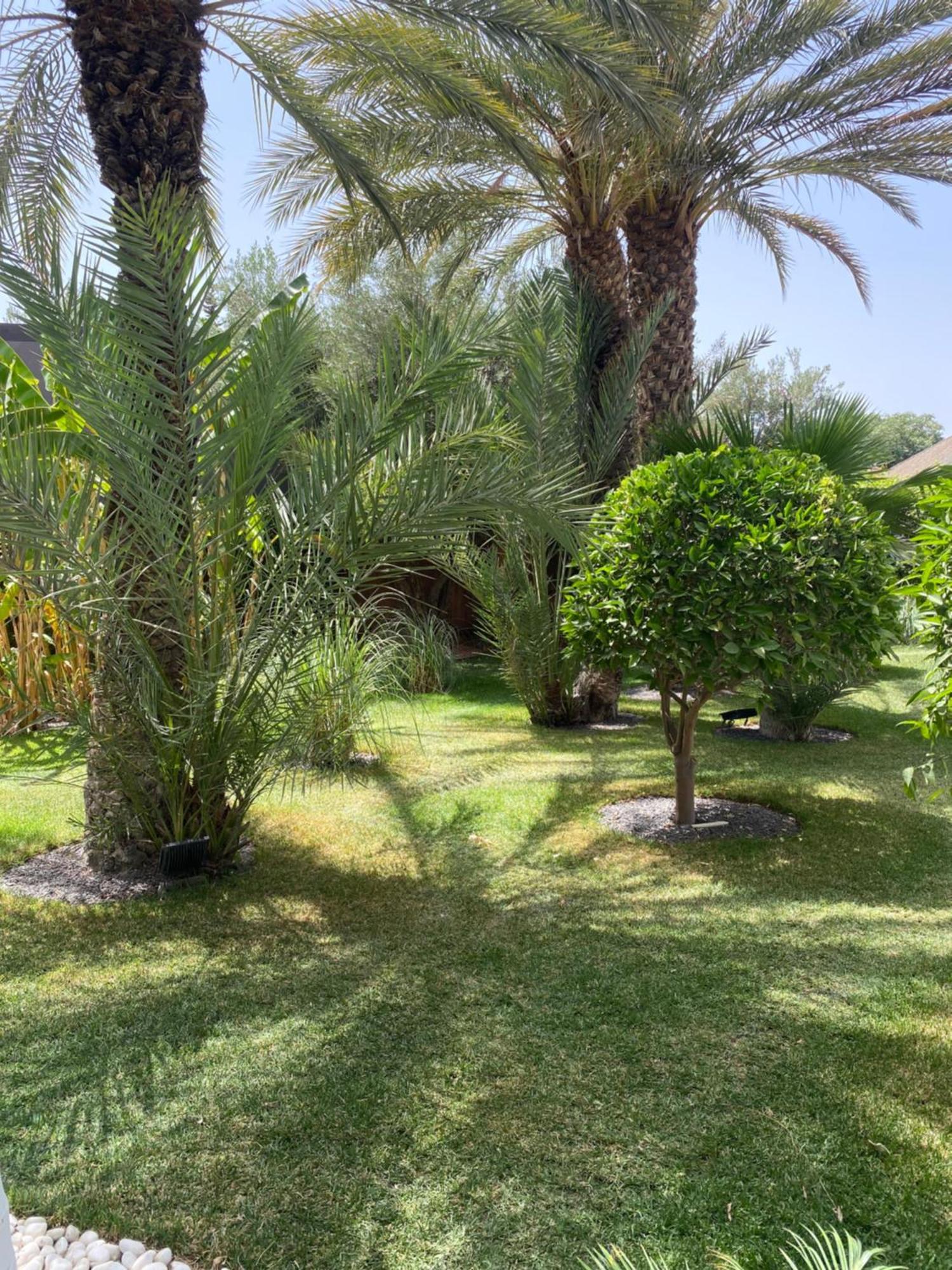 Villa Mano Lagouassem Exterior photo